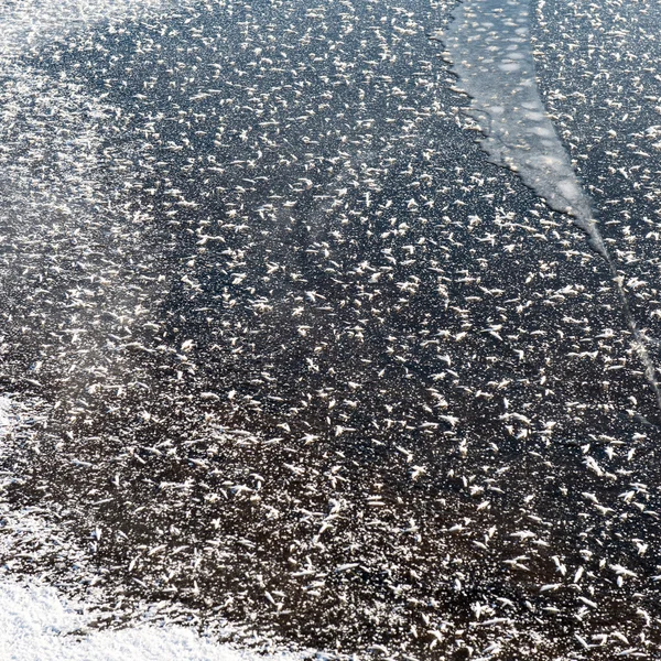 Nahaufnahme gefrorener Schneeflocken — Stockfoto