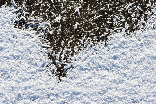 Close-up frozen snowflakes — Stock Photo, Image