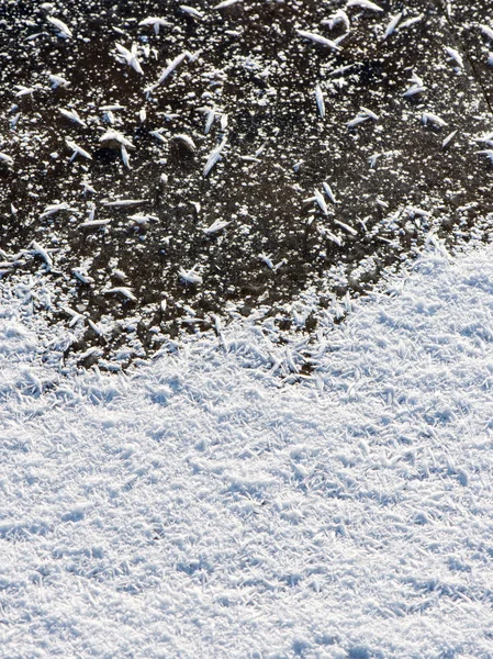 Närbild fryst snöflingor — Stockfoto