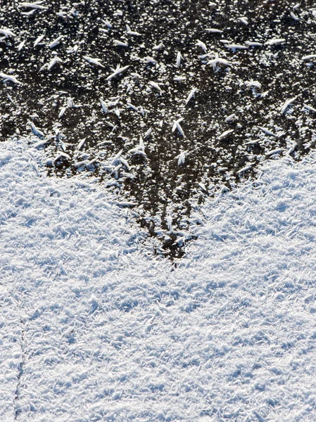 Close-up frozen snowflakes — Stock Photo, Image