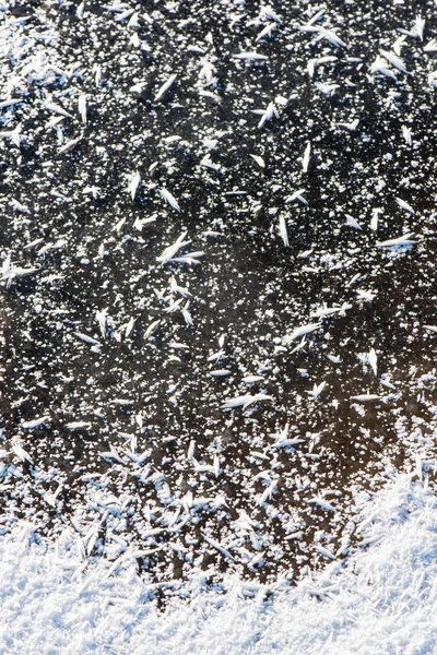 Nahaufnahme gefrorener Schneeflocken — Stockfoto