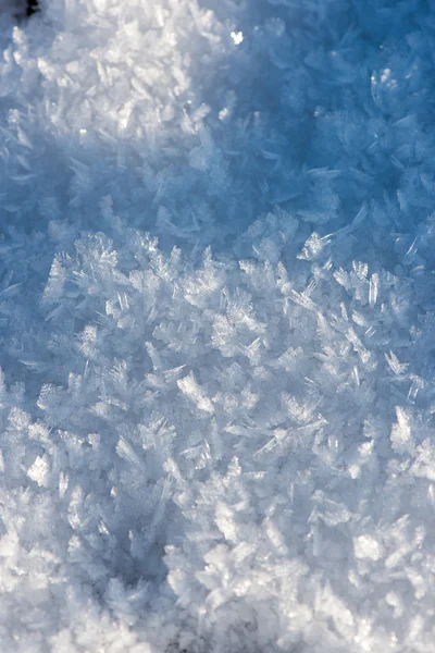 Flocons de neige congelés en gros plan — Photo