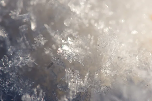 Γκρο πλαν, κατεψυγμένα νιφάδες χιονιού — Φωτογραφία Αρχείου