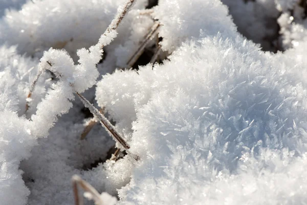 Close-up frozen snowflakes — Stock Photo, Image