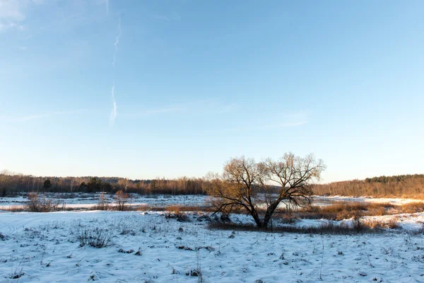 Красивый снежный зимний пейзаж — стоковое фото