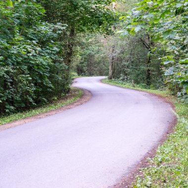 biraz yol ormanda yaktı