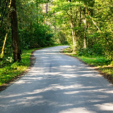 biraz yol ormanda yaktı