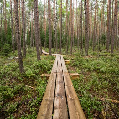 göller ve patika ile bataklık görünümü