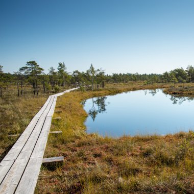 sisli bataklık Gölü'nün güzel sakin manzara