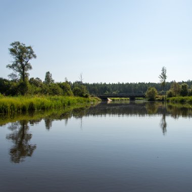 dağ nehir orman tarafından çevrili yaz aylarında