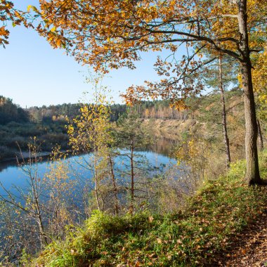 ormanda sonbahar renkli turizm iz