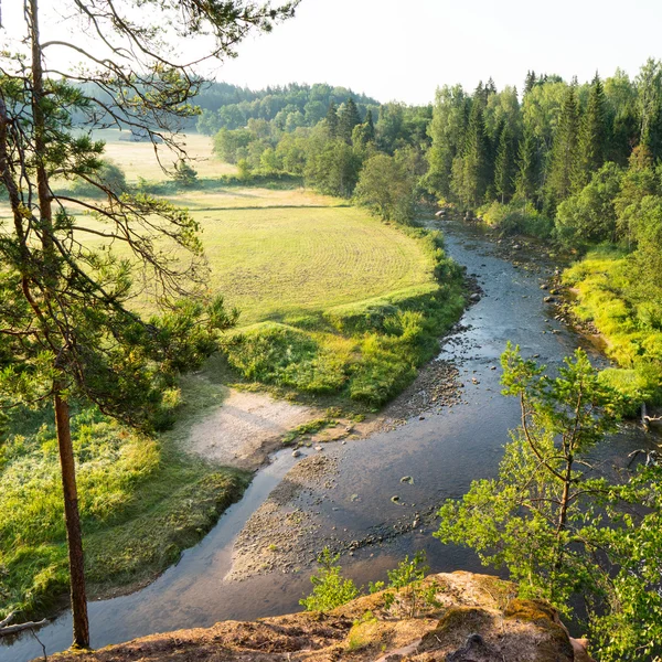 Zandstenen rotsen in de Gaujas Nationaalpark, Letland — Stockfoto