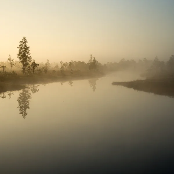 안개가 자욱한 늪 호수의 아름 다운 조용한 풍경 — 스톡 사진