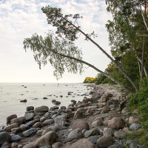 A Balti-tenger sziklás strand — Stock Fotó