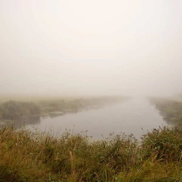 Vue sur les marais avec lacs et sentier pédestre — Photo