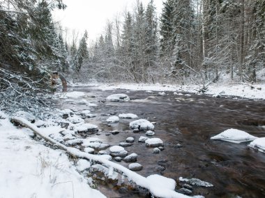Donmuş kış nehir manzarası