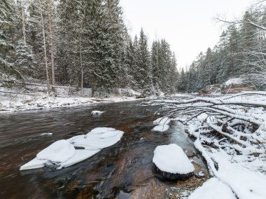 Donmuş kış nehir manzarası