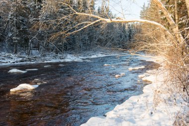 Donmuş kış nehir manzarası