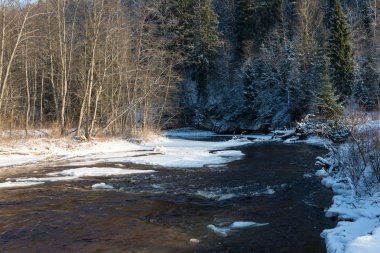 Donmuş kış nehir manzarası