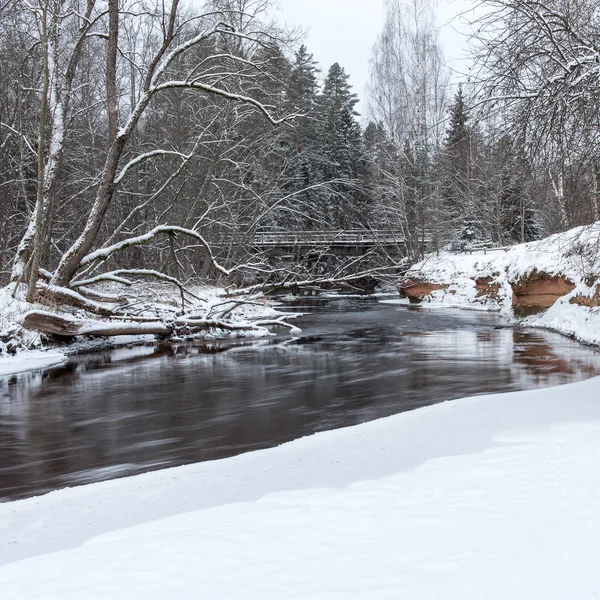 Vinterfrusen flodlandskap — Stockfoto