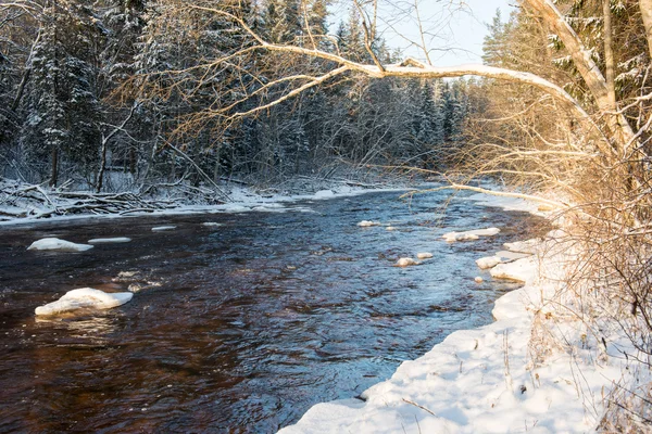 Donmuş kış nehir manzarası — Stok fotoğraf