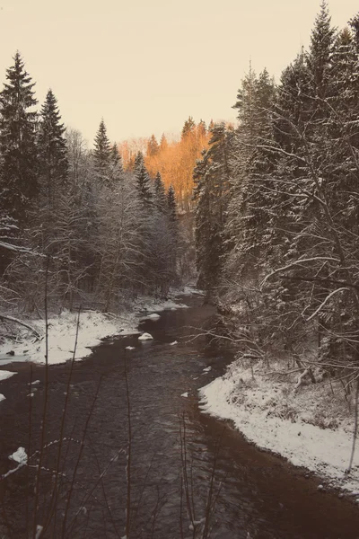 Paisaje congelado del río de invierno - vintage retro —  Fotos de Stock