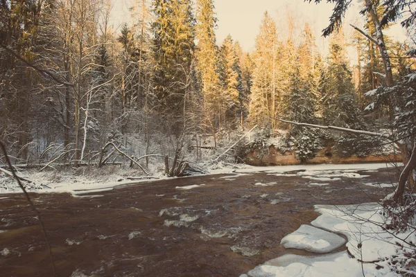 Замороженный зимний речной пейзаж - ретро-винтаж — стоковое фото