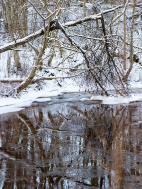 Donmuş kış nehir manzarası