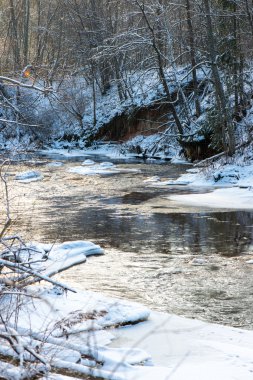 Donmuş kış nehir manzarası