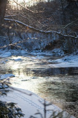 ağaç dalları Soyut doku kış