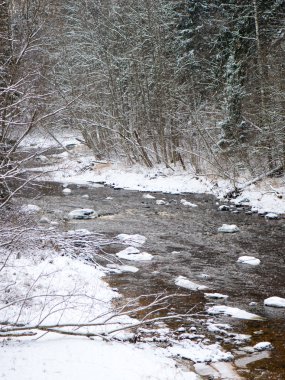 Donmuş kış nehir manzarası
