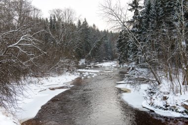 Donmuş kış nehir manzarası