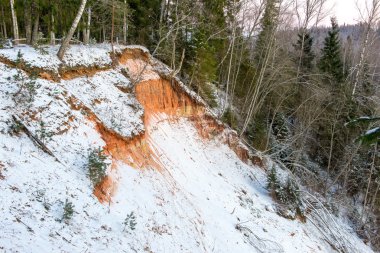 Karlı kış ormanı, karla kaplı ağaçlar