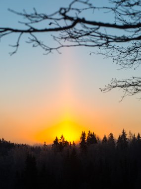 Kışın orman üzerinde güzel koyu gündoğumu