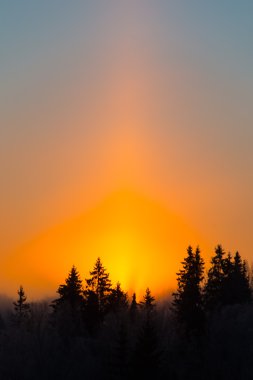 Kışın orman üzerinde güzel koyu gündoğumu