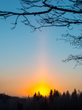 Kışın orman üzerinde güzel koyu gündoğumu