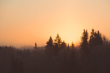 Kışın - retro vintage orman üzerinde güzel koyu gündoğumu