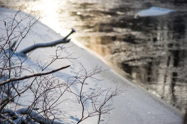 Ramos de árvore de inverno em textura abstrata — Fotografia de Stock