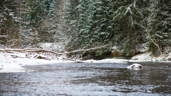 얼어붙은 겨울 강 풍경 — 스톡 사진