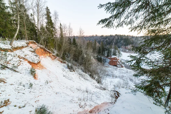 Besneeuwd winterbos met besneeuwde bomen — Stockfoto