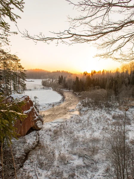 Hermoso amanecer oscuro sobre el bosque en invierno — Foto de Stock