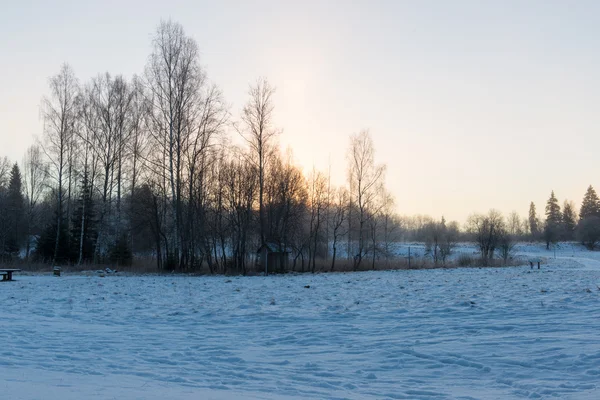 Floresta de inverno nevada com árvores cobertas de neve — Fotografia de Stock