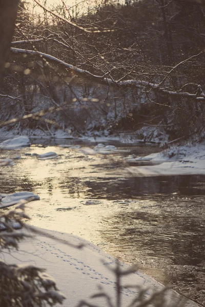 Vinter trädgrenar i abstrakt textur - retro vintage — Stockfoto