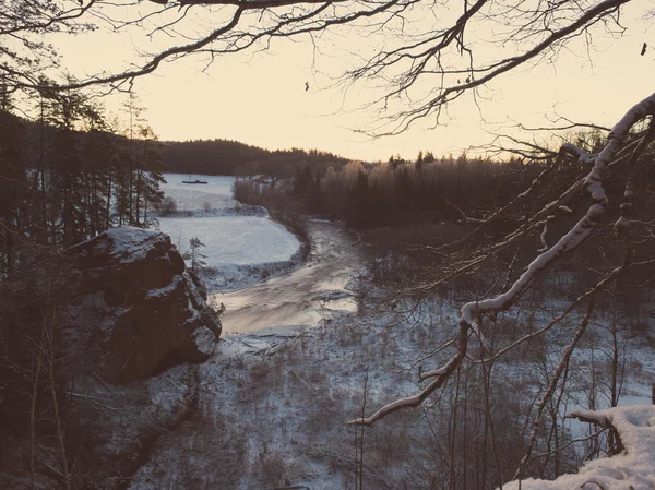 Bosque de invierno nevado con árboles cubiertos de nieve - vintage retro — Foto de Stock