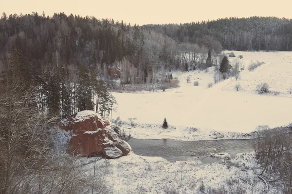 Bosque de invierno nevado con árboles cubiertos de nieve - vintage retro — Foto de Stock