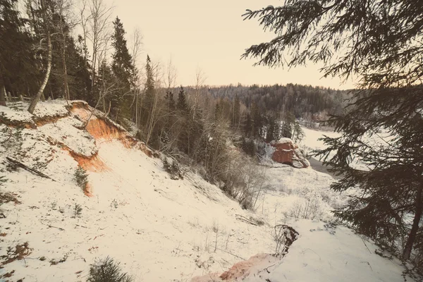 Bosque de invierno nevado con árboles cubiertos de nieve - vintage retro — Foto de Stock