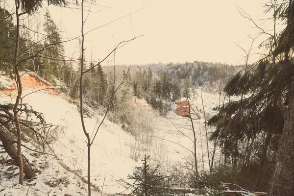 Snörik vinter skog med snö täckt träd - retro vintage — Stockfoto