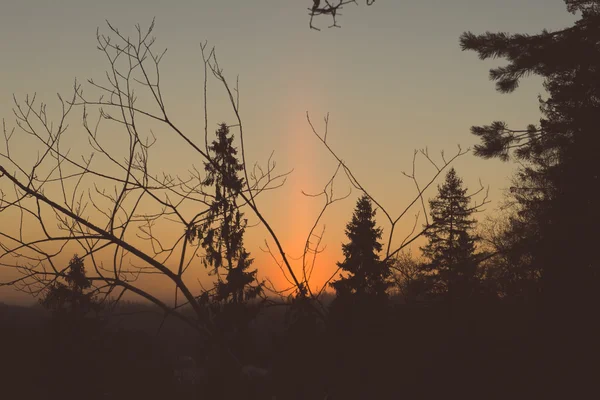 Bella alba scura sulla foresta in inverno - vintage retrò — Foto Stock