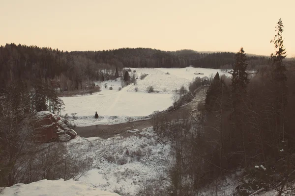 Hermoso amanecer oscuro sobre el bosque en invierno - vintage retro — Foto de Stock