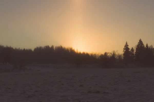 Hermoso amanecer oscuro sobre el bosque en invierno - vintage retro —  Fotos de Stock